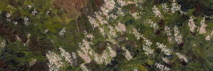 livpxtok's profile banner image