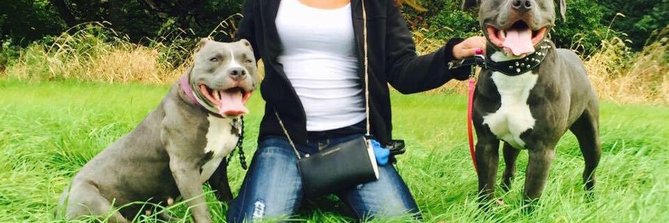 Nilka_Marie's profile banner image