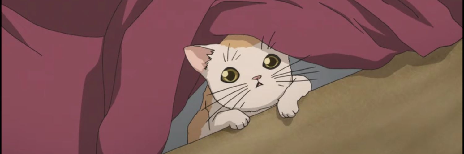 Aduuuy's profile banner image