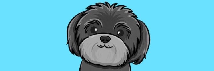 Brunoccs100's profile banner image