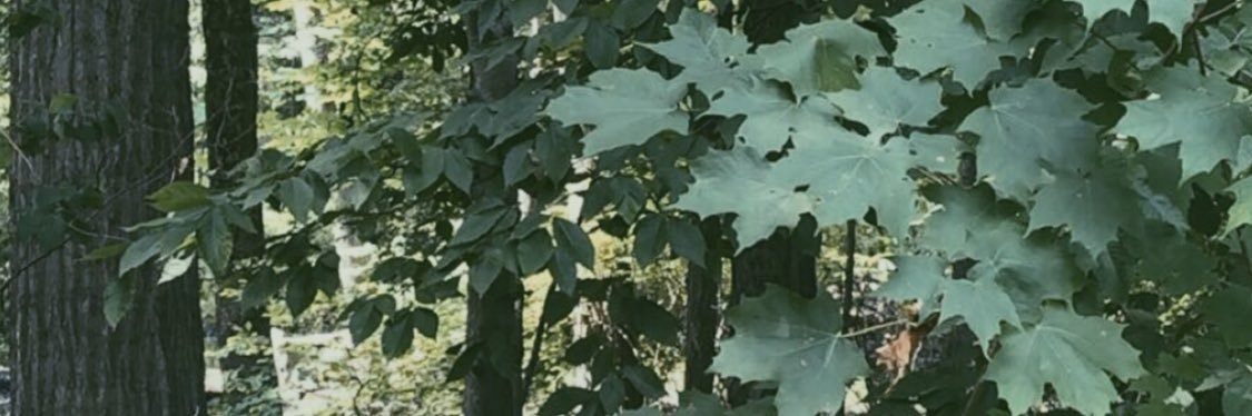 oatmilccc's profile banner image