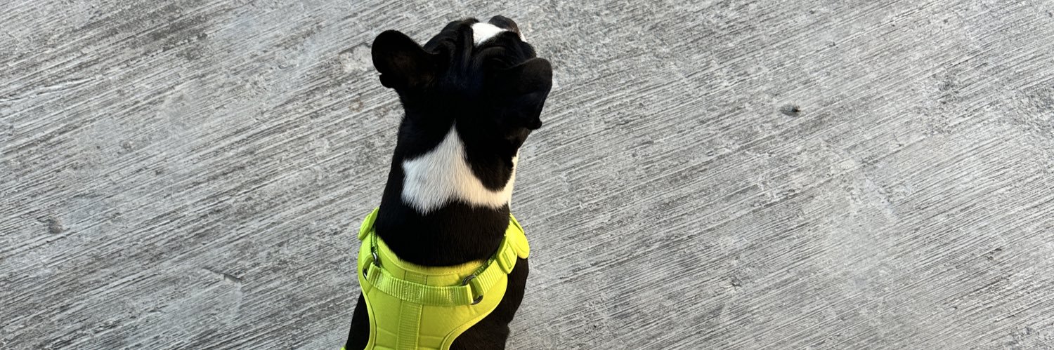brendirmz's profile banner image