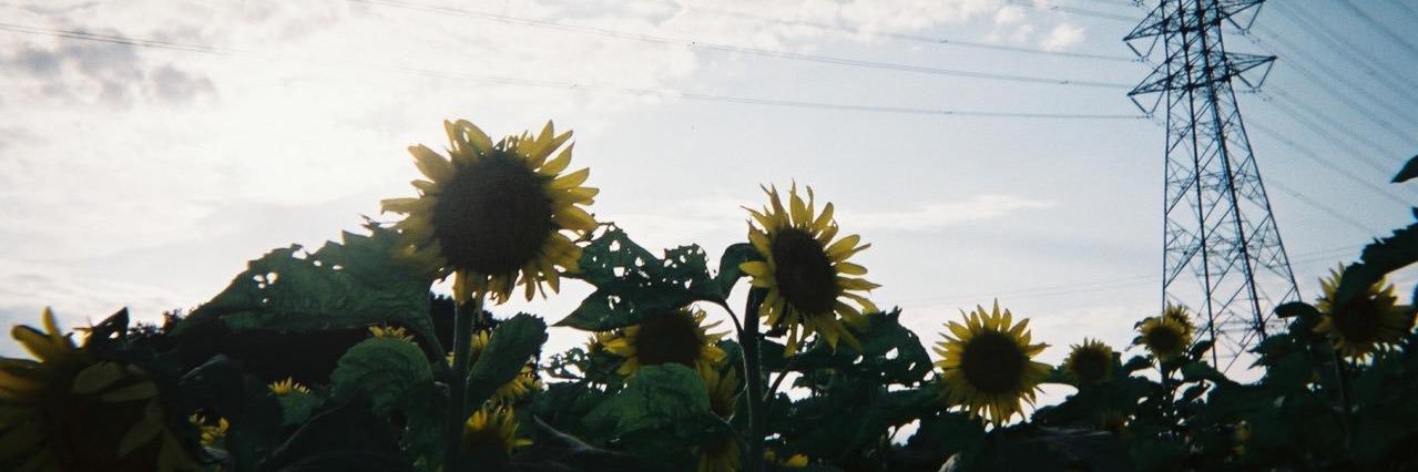_26asu's profile banner image