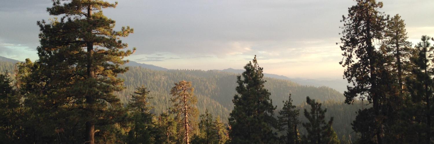 twotentsdown's profile banner image