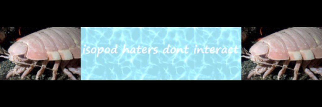 slonkhillman's profile banner image