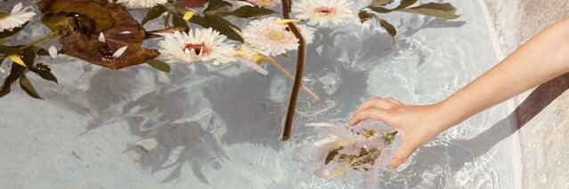 reathbay's profile banner image
