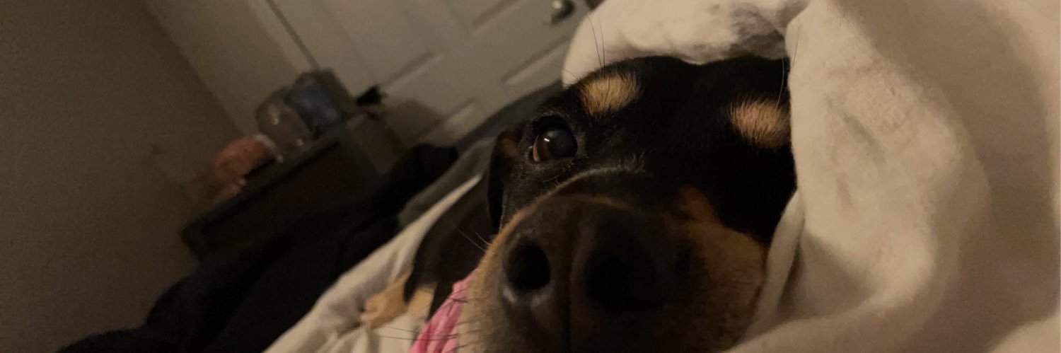 ellenncottrell's profile banner image