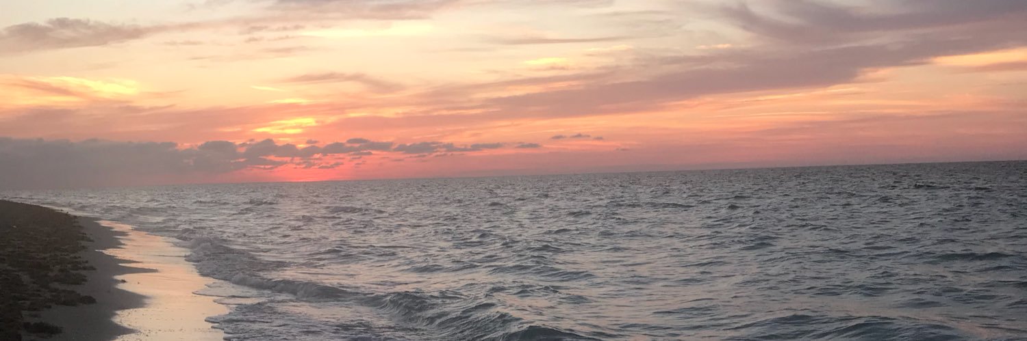 Ddesbarres's profile banner image