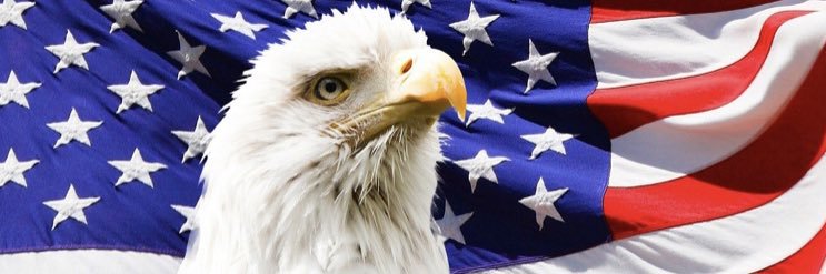 redvotesmatter's profile banner image