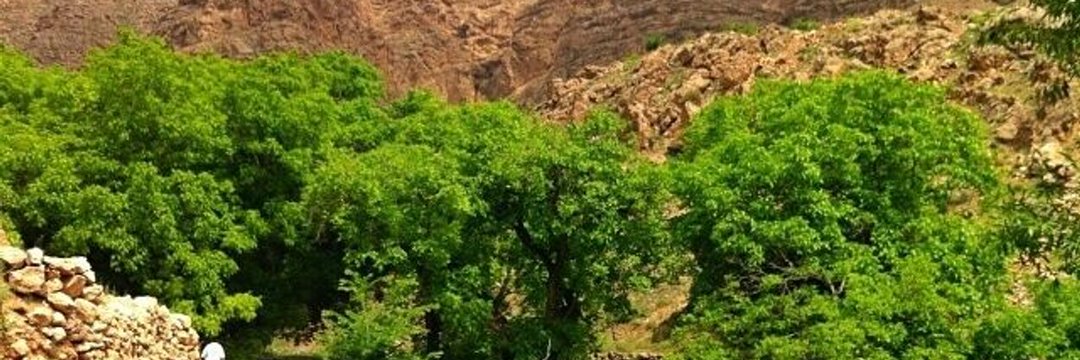 تغريد حر ✊ banner