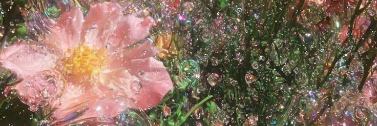 CaamRios's profile banner image
