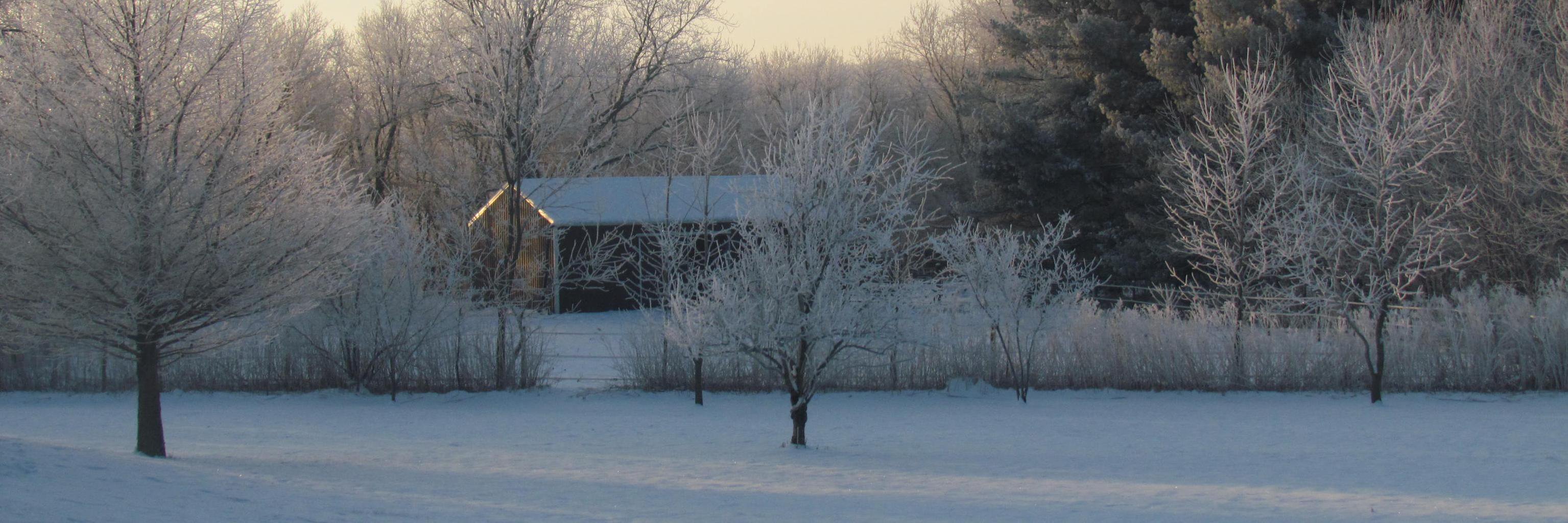 Steve Hilberg banner