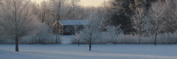 hbergSteve Profile Banner