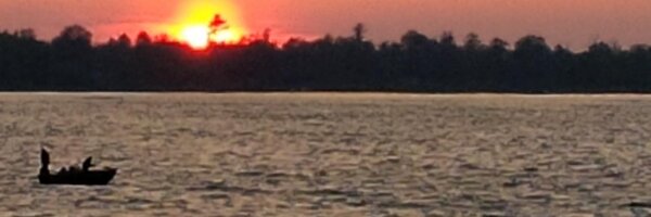waynemiddaugh Profile Banner