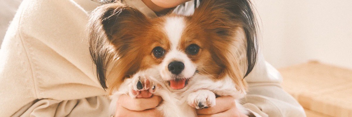 peachdarylna's profile banner image