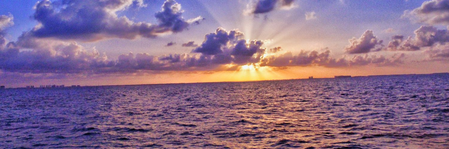 ____Stefania's profile banner image