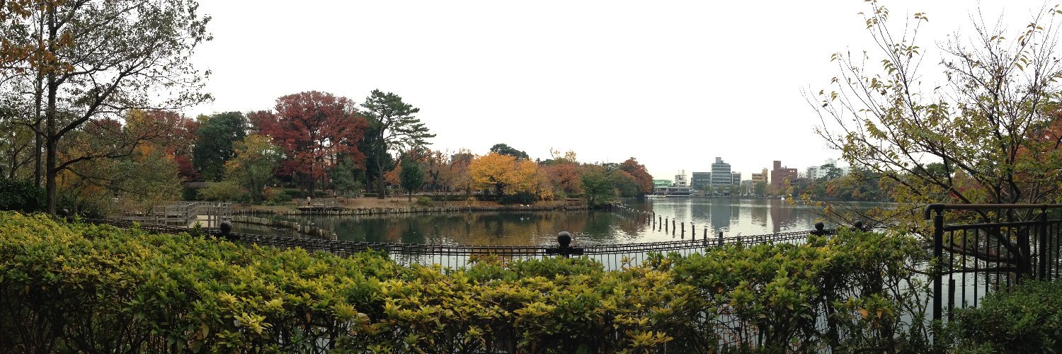 charissaferrera banner