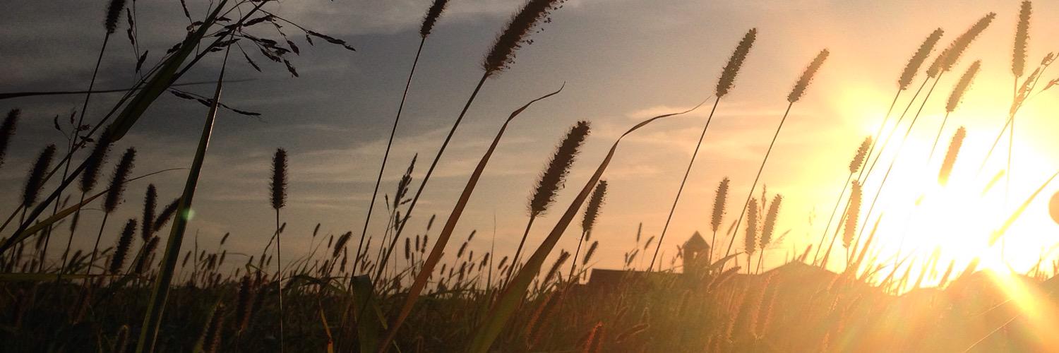 LoMatth's profile banner image