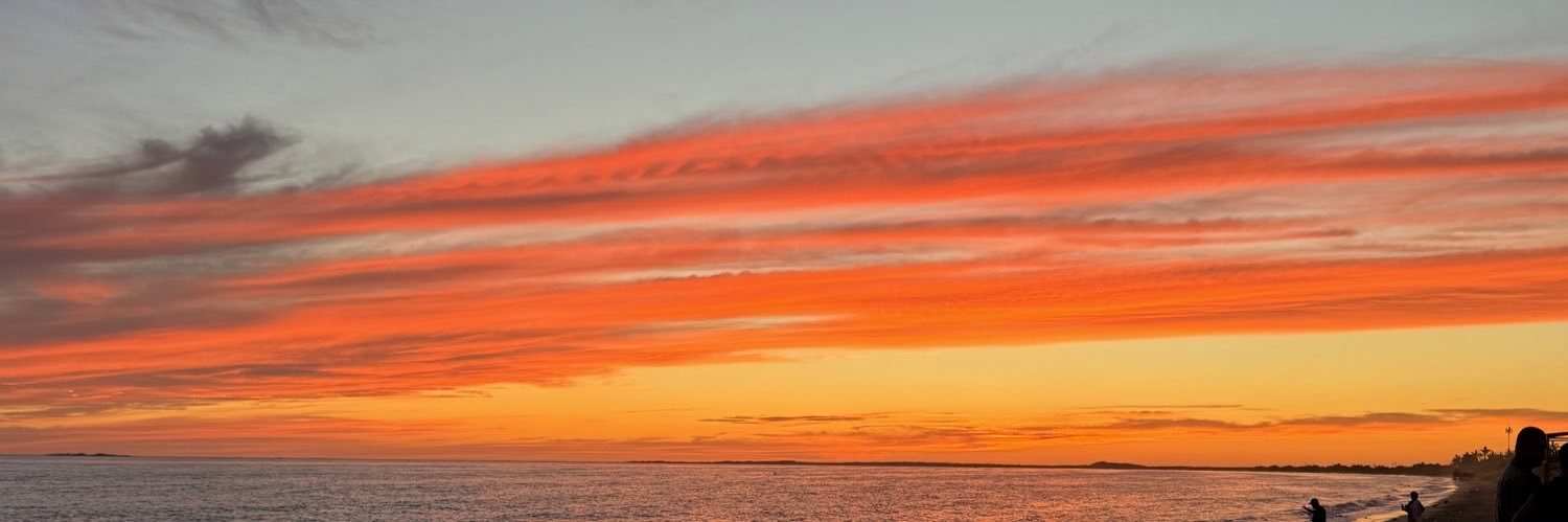 anngermanr's profile banner image