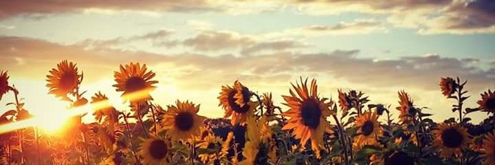 EmmaLeigh413's profile banner image