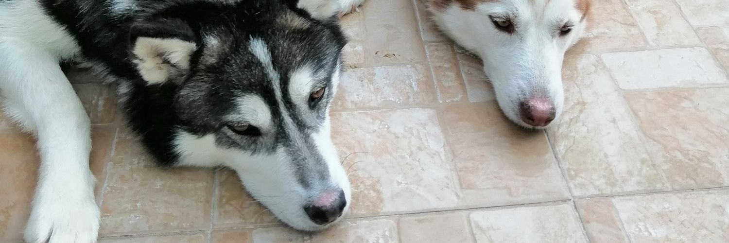 GabSCaudillo's profile banner image