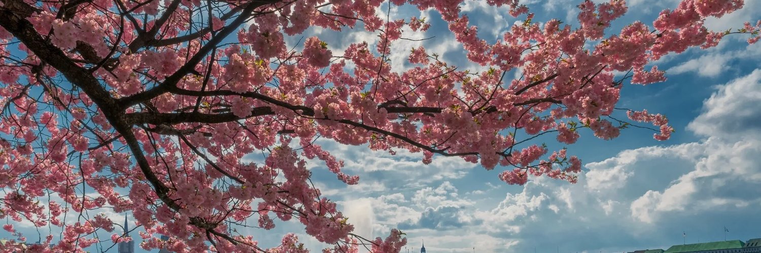 hapa_ly's profile banner image