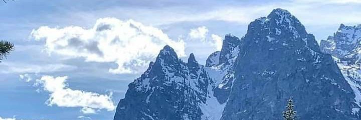 CathyClark5's profile banner image