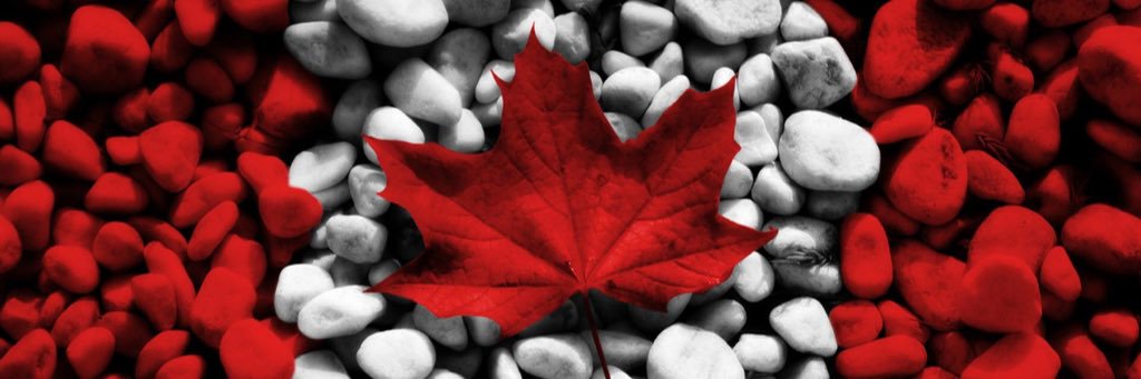 GaryBahr1's profile banner image