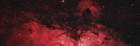 Mauricio Castro banner