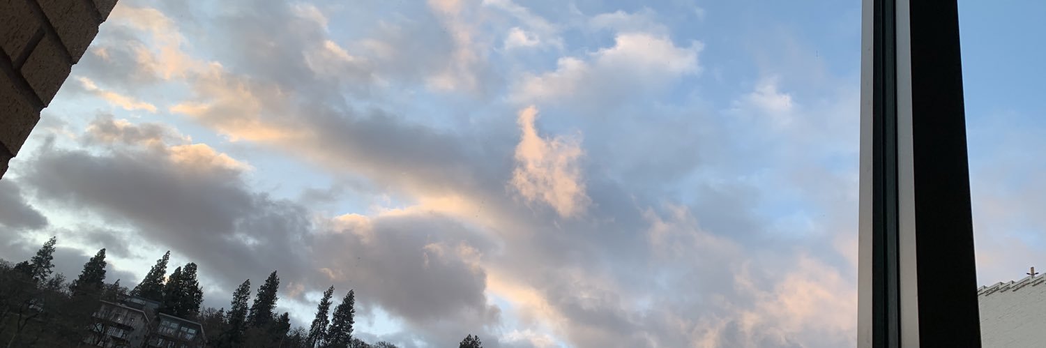 Fatshadow's profile banner image