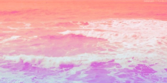 epoppy's profile banner image