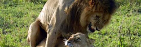 Luar565850 Profile Banner