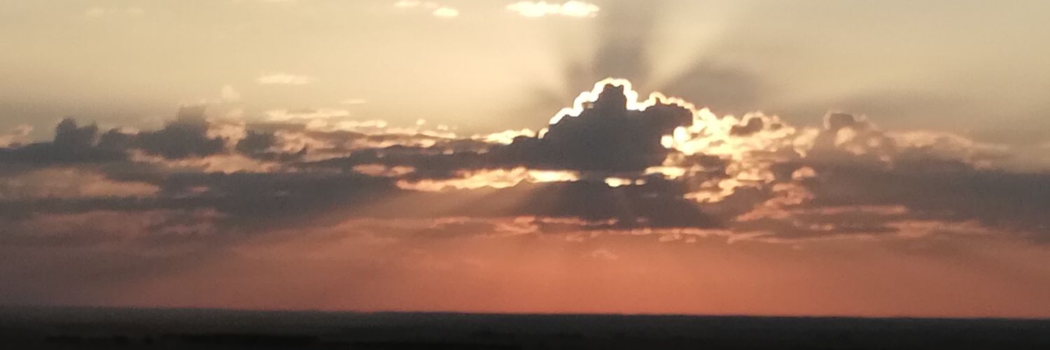 Carni0s's profile banner image