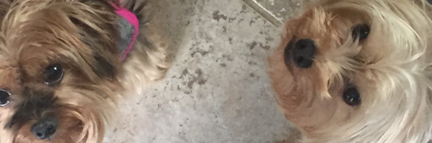 RRRIIICCCEEE's profile banner image