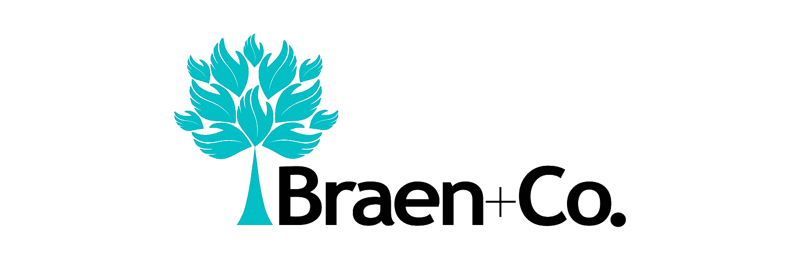 Braenco's profile banner image