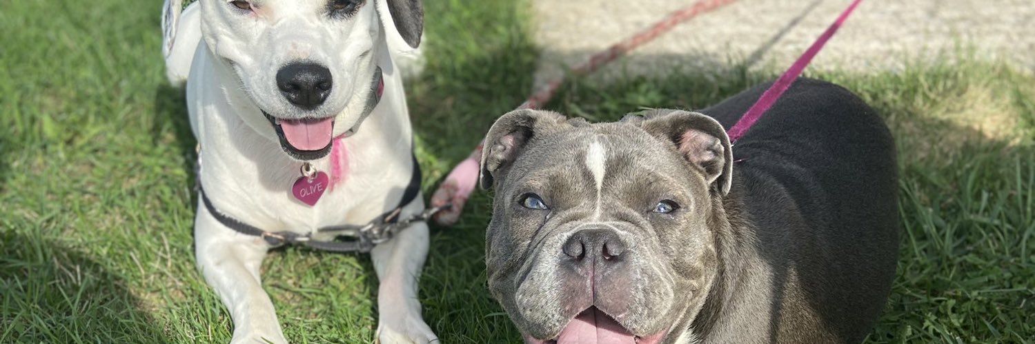Sarah_Thomps44's profile banner image