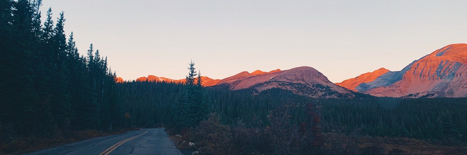 MaddyCarr20's profile banner image