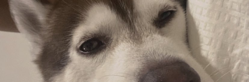kmatosp's profile banner image