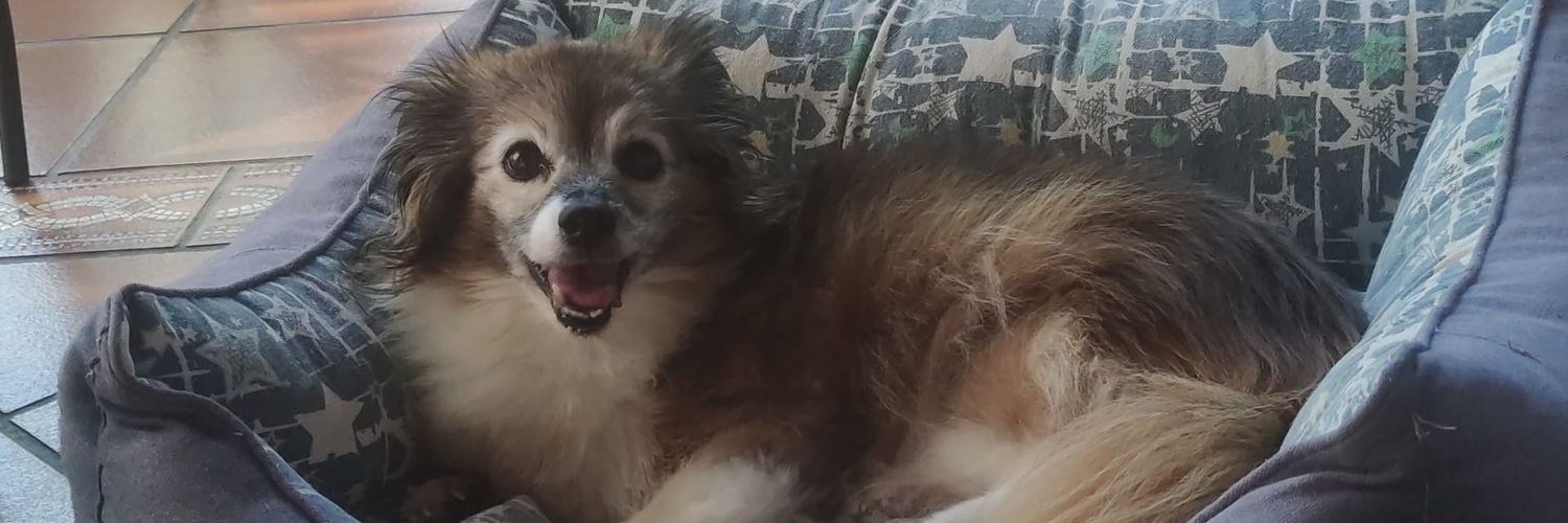 Julia Giménez banner