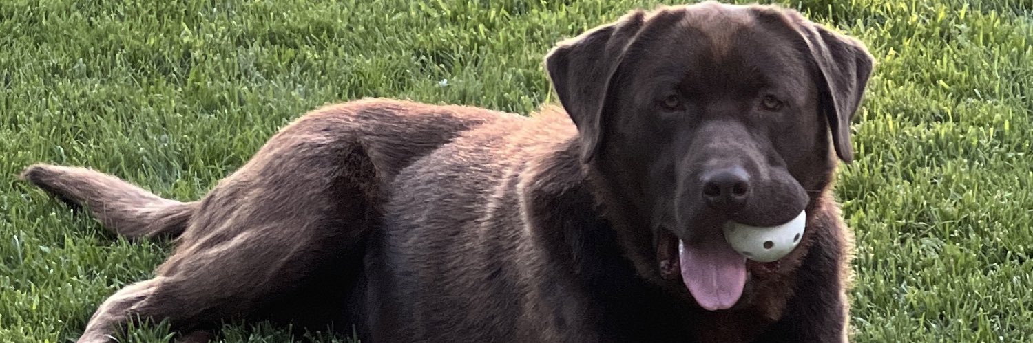 Colin Campbell banner