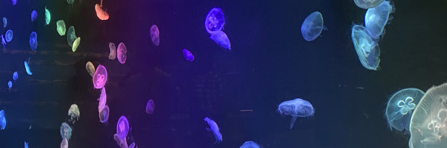 Shellbeejoones's profile banner image