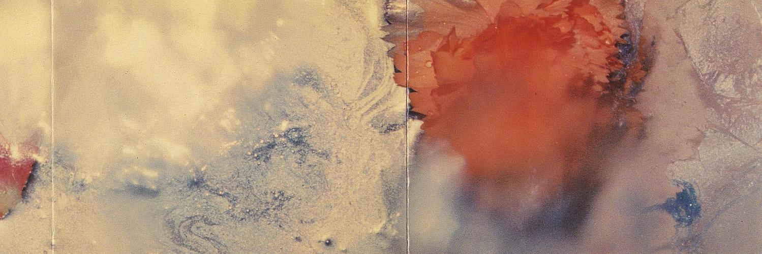 Lukáš Grygar is in another castle banner