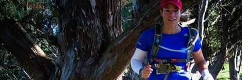 lesterhu's profile banner image