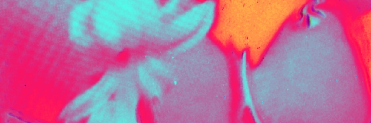 BonnieArque's profile banner image