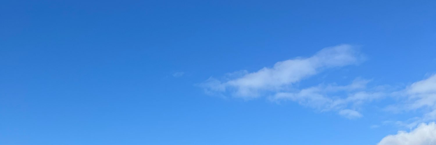 BrinkIan's profile banner image