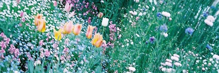 CzCi8's profile banner image