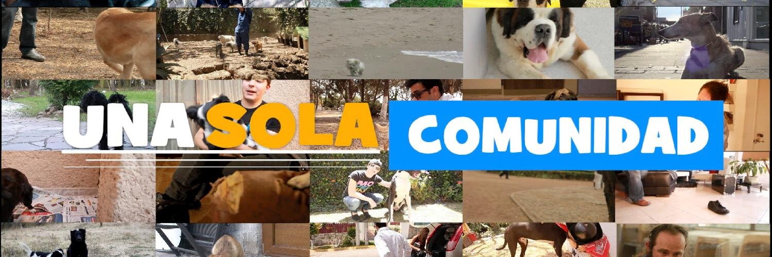 DoggyCommunity's profile banner image
