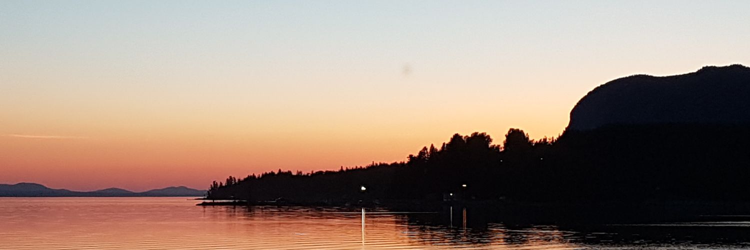 Vogelsang77's profile banner image