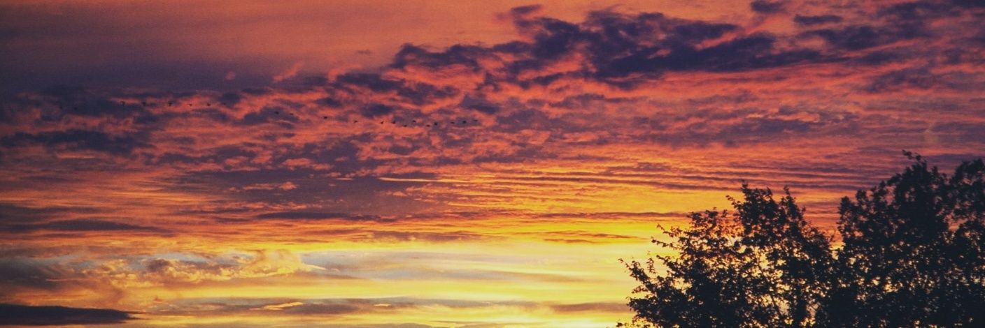 SanParedesN's profile banner image