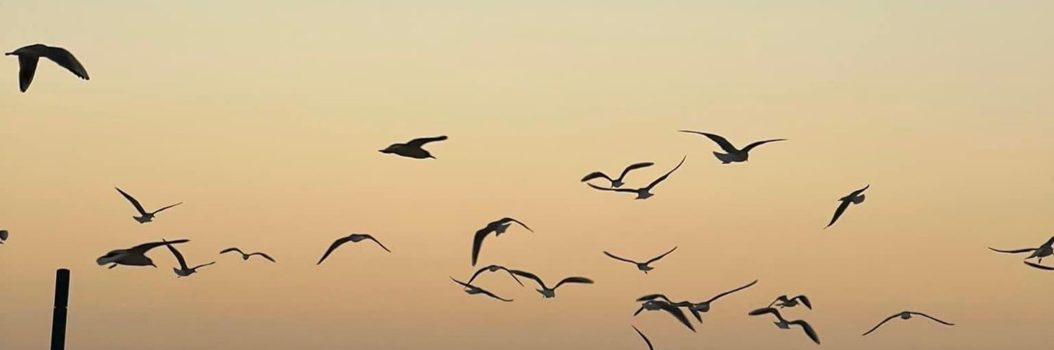 Kakyyle_'s profile banner image